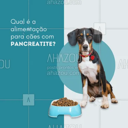 posts, legendas e frases de veterinário para whatsapp, instagram e facebook: Uma das causas prováveis da pancreatite é a gordura, então faça dieta sem gordura e evite dar restos de comida para o seu cão.🐶🐶

#AhazouPet #dicas #saude #pancreatite  #vetpet  #veterinarian  #veterinario  #petvet  #vet #caes 