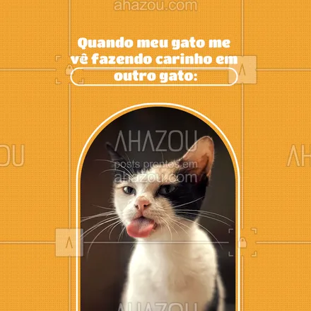 posts, legendas e frases de assuntos variados de Pets para whatsapp, instagram e facebook: 😂 Dá até medo do que ele pode fazer comigo quando eu estiver dormindo! Quem aí também tem gato ciumento? #AhazouPet #cats  #ilovepets  #petlovers  #petoftheday  #petsofinstagram #meme #engraçado #frases #gatinhos #memesgatos