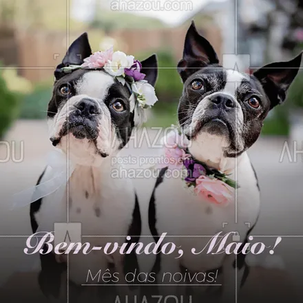 posts, legendas e frases de assuntos variados de Pets para whatsapp, instagram e facebook: O mês do amor chegou. Seja bem-vindo, Maio! #pet #mesdasnoivas #ahazou #maio