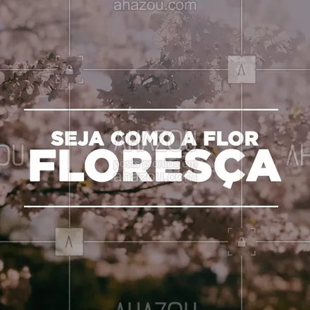 posts, legendas e frases de posts para todos para whatsapp, instagram e facebook: Na vida seja como a flor, floresça sempre!
#ahazou #motivacao #flor