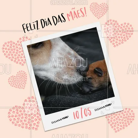 posts, legendas e frases de assuntos variados de Pets para whatsapp, instagram e facebook: Hoje é dia de amor! Celebre com a pessoa que te acompanha desde filhotinho. ??#pet  #diadasmaes  #ahazou  #ahazoupet  #cachorro  #petlover  #petcare  #gato  #dog  #cat
