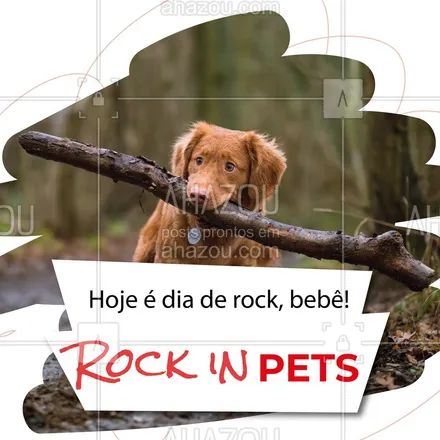 posts, legendas e frases de assuntos variados de Pets para whatsapp, instagram e facebook: Para entrar no clima do Rock in Rio! ?? #rockinrio #ahazoupet #pets