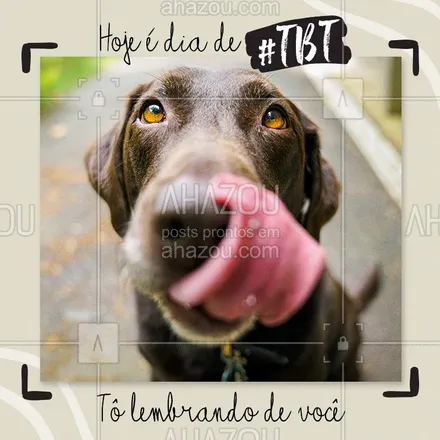 posts, legendas e frases de assuntos variados de Pets para whatsapp, instagram e facebook: Ei psiu, saudades! Quando você volta? ❤️ 

#tbt #ahazoupet #pet #pets