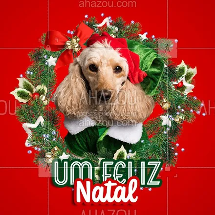 posts, legendas e frases de dog walker & petsitter, veterinário, petshop para whatsapp, instagram e facebook: Um Natal de paz e muita alegria para todos os nossos clientes !]

#pet #ahazou #feliznatal
