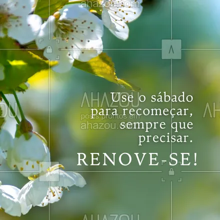 posts, legendas e frases de posts para todos para whatsapp, instagram e facebook: Não importa o que aconteceu, hoje é um novo dia para se reinventar e seguir em frente.
#sabado #motivacao #renovacao #novocomeco #frasesmotivacionais #forca