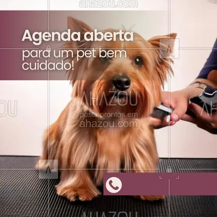 posts, legendas e frases de petshop para whatsapp, instagram e facebook: Para quem quer ver o pet sempre bem cuidado e feliz, nossa agenda já está aberta! Marque já e venha conferir todo o carinho que temos para oferecer. 🐾 #AgendaPetshop #CuidadoAnimal #PetShop #AhazouPet #petshop #agenda #agendaaberta #serviços 