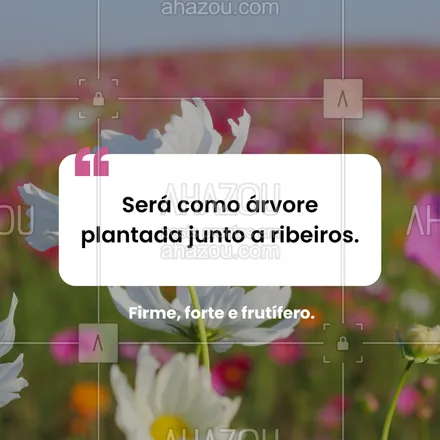 posts, legendas e frases de posts para todos para whatsapp, instagram e facebook: Quem vive com Deus floresce em qualquer estação. #salmo1 #raízesfortes #crescimentoespiritual #fé