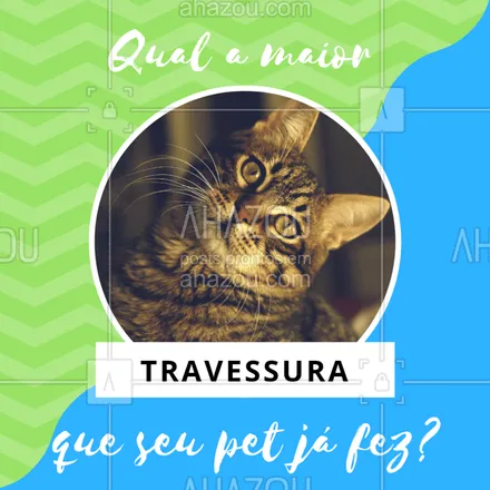 posts, legendas e frases de assuntos variados de Pets para whatsapp, instagram e facebook: Queremos saber qual a maior travessura que seu pet já fez! Adoramos essas histórias! #pet #travessuras #ahazoupet #bagunca