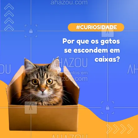 posts, legendas e frases de petshop para whatsapp, instagram e facebook: 📦 Os gatos amam caixas porque oferecem segurança e aconchego! Para eles, estar escondido em um cantinho seguro os ajuda a se sentirem protegidos e relaxados. 🧘‍♀️
#CuriosidadesSobreGatos #AmorDePet #GatosESuasCaixas #AhazouPet #petshop 