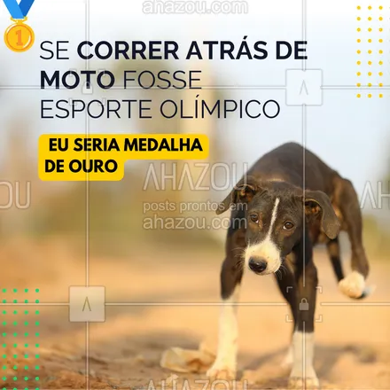 posts, legendas e frases de assuntos variados de Pets para whatsapp, instagram e facebook: Aqui é caramelo raiz 🤣.

Quem também tem um medalhista 🥇 em casa comenta aqui 👇.

#AhazouPet #cats #dogs #petlovers #petsofinstagram #cuidadopet #olímpiadas2024