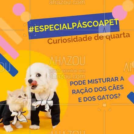 posts, legendas e frases de assuntos variados de Pets para whatsapp, instagram e facebook: No nosso #especialpáscoapet, iremos responder curiosidades sobre nossos amados pets que são muito questionadas pelos seus donos. Hoje é dia da dúvida da ração de animais x gatos! Afinal, nossos pets podem ingerir rações misturadas? A resposta pra essa polêmica pergunta é: NÃO! E os motivos serão apresentados em um top 2.

1. Ao misturar as rações de pets diferentes, rompe-se o balanceamento nutricional de cada uma delas, com isso,  quantidade oferecida em cada uma delas pode não ser absorvida corretamente, podendo deixa-los carentes de energia, proteínas, vitaminas e principalmente minerais.
2. Com essa falta de balanceamento nutricional, os animais ficam propensos à adquirirem diversos tipos de doenças que são contraídas por baixa demanda de nutrientes. 

#especialpáscoapet #ahazou #semanal #cuidados