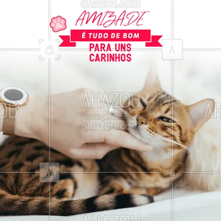 posts, legendas e frases de assuntos variados de Pets para whatsapp, instagram e facebook: Mais à esquerda humana... Gato
????
#pet #engraçado #motivacional #bandbeauty #ahazou