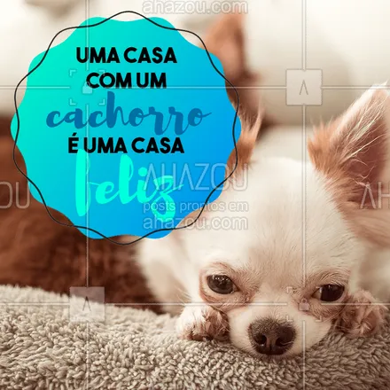 posts, legendas e frases de assuntos variados de Pets para whatsapp, instagram e facebook: Concordam? ?❤️ #cachorro #ahazoupet #pet