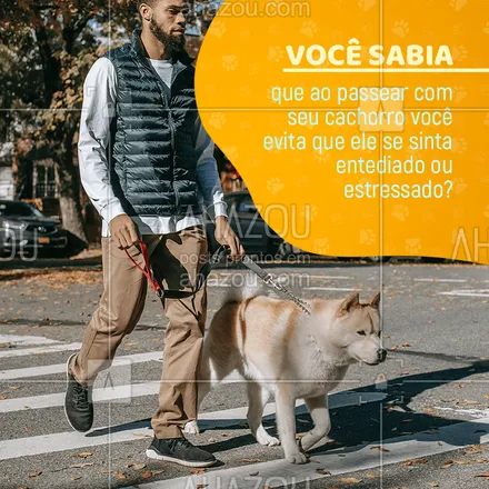 posts, legendas e frases de dog walker & petsitter para whatsapp, instagram e facebook: Pois é, por maior que seja o espaço que seu cachorro tem pra brincar, nada substitui um passeio pela rua! Isso porque, assim como nós, eles são animais sociais que dependem do contato uns com os outros ?? E ainda tem toda a variedade de novos odores que atingem seu olfato aguçado e ativam seu instinto explorador! Portanto se não conseguir levar seu pet pro passeio nesse frio, contrate um de nossos dogwalkers! ? #AhazouPet #pets #petlovers #dogwalker #inverno