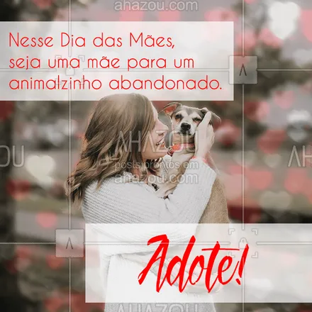 posts, legendas e frases de assuntos variados de Pets para whatsapp, instagram e facebook: Aproveite o Dia das Mães para se tornar mãe de um novo bichinho! ❤️ #diadasmaes #ahazoupet #pet #mesdasmaes #maes #adoçao #cachorro