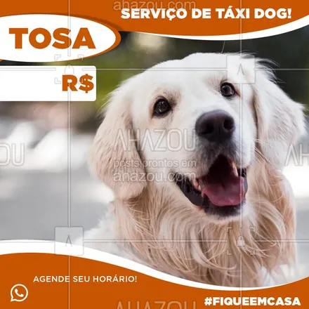 posts, legendas e frases de petshop para whatsapp, instagram e facebook: Fique em casa, não precisa se preocupar buscamos seu pet na sua casa! Agende seu horário! #ahazou #ahazoudogs #taxidog #fiqueemcasa