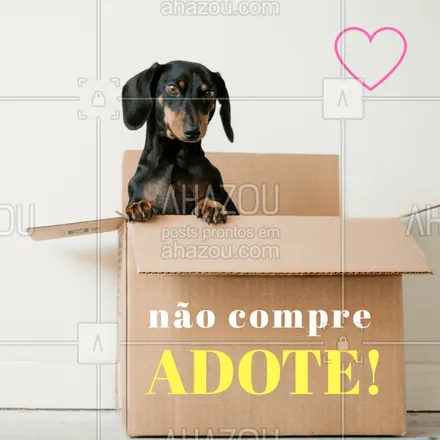 posts, legendas e frases de assuntos variados de Pets para whatsapp, instagram e facebook: Nesse final de semana faremos uma feirinha de adoção! Compareça e adote seu pet.
#adote #meupet #ahazou #feira
