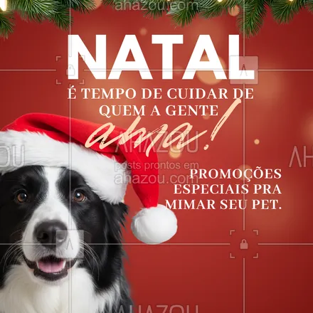 posts, legendas e frases de  para whatsapp, instagram e facebook: O seu pet merece um Natal cheio de amor, cheirinho bom e economia! 💖
Aproveite as promoções natalinas e presenteie seu bichinho com um dia de beleza e cuidado.
🎁 Banho + Tosa com desconto
🎀 Mimos e acessórios especiais
💬 Agende hoje mesmo!

#PetShop #PromoçãoPet #NatalPet #BanhoETosa #AmorPet #PetsFelizes #DescontoPet #Natal #PetCare #CuidadosPet #BelezaPet