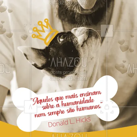 posts, legendas e frases de assuntos variados de Pets para whatsapp, instagram e facebook:  ❤️ #pets #ahazou #maedepet 