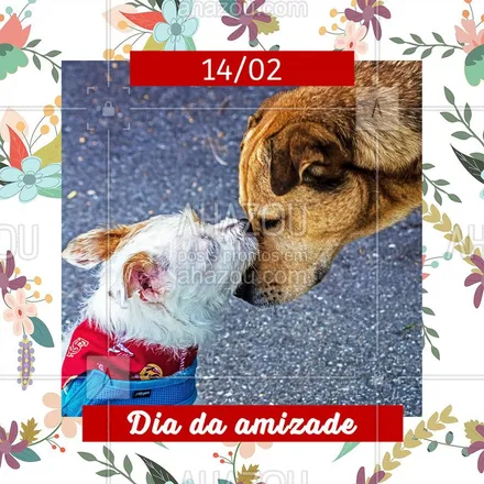posts, legendas e frases de assuntos variados de Pets para whatsapp, instagram e facebook: Nesse dia da amizade, vamos celebrar todo o amor que recebemos de nossos melhores amigos pets todos os dias! <3
#ahazoupet #diadaamizade #pet #dog #cat #petfeed