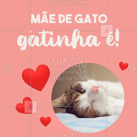 posts, legendas e frases de assuntos variados de Pets para whatsapp, instagram e facebook: Só as mamães de gato vão concordar ? #gato #ahazoupet #pet #maedegato #maedepet