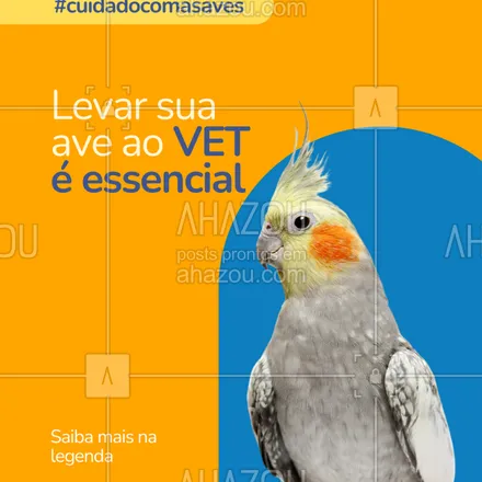 posts, legendas e frases de assuntos variados de Pets para whatsapp, instagram e facebook: Mesmo que pareça tudo bem, sua ave precisa de check-ups com veterinário especializado em silvestres.
Aves escondem sintomas — a prevenção salva vidas!
Agende consultas regulares e mantenha o bem-estar em dia.
#veterinariosilvestre #cuidadoscomaves #checkupanimal #saudedasaves #passarinhosaudavel