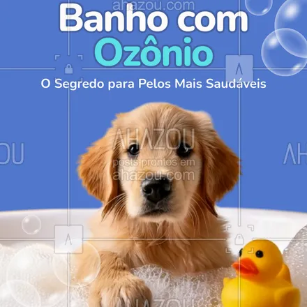 posts, legendas e frases de petshop para whatsapp, instagram e facebook: O ozônio age profundamente na pele do seu pet, eliminando bactérias, fungos e odores. Resultado? Pelos macios, brilhantes e sem coceiras!
📲 Agende o banho do seu pet hoje mesmo!
#BanhoComOzônio #PetSaudável #CuidadoComAmor #PetshopPremium
