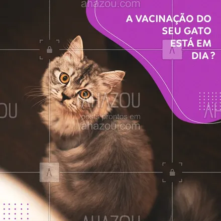 posts, legendas e frases de veterinário para whatsapp, instagram e facebook: Chegou a hora de você colocar as vacinas do seu gato em dia, venha vacinar seu bichinho. #Gato #Ahazou #Vacinacao 