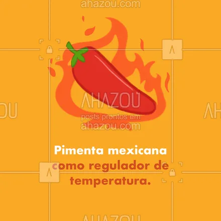 posts, legendas e frases de cozinha mexicana para whatsapp, instagram e facebook: A pimenta traz muitos benefícios à saúde, entre eles estão: o alívio das dores em geral, a melhora na digestão dos alimentos, a aceleração do metabolismo e o combate ao envelhecimento precoce. 
 #comidamexicana  #cozinhamexicana #ahazoutaste #nachos  #texmex  #vivamexico 