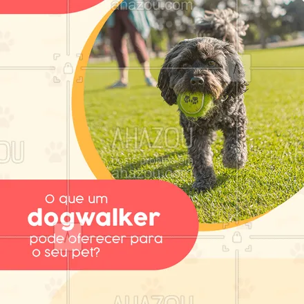 posts, legendas e frases de dog walker & petsitter para whatsapp, instagram e facebook: Um dogwalker pode ensinar ao seu cão comandos básicos como não latir para outros cães, não latir para pessoas, sentar, rolar, andar junto sem puxar a guia, etc.
#AhazouPet  #dogsofinstagram   #dogtraining   #dogwalkersofinstagram  #dogdaycare  #dogsitter  #doglover  #dogwalk  #dogwalker  #dogwalkerlife  #petsitter  #petsitting 