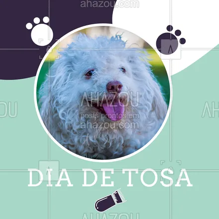 posts, legendas e frases de petshop, assuntos variados de Pets para whatsapp, instagram e facebook: Hoje é dia de tosa! Venha tosar seu pet ?❤️️? #tosa #ahazou #petshop