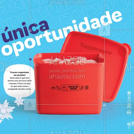 posts, legendas e frases de tupperware para whatsapp, instagram e facebook: Agora você pode deixar seu freezer mais organizado com a linha jeitoso da Tupperware, garantindo a conservação perfeita para aquele molho caseiro delicioso que só você sabe fazer. 
#ahazourevenda #ahazoutupperware