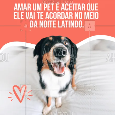 posts, legendas e frases de assuntos variados de Pets para whatsapp, instagram e facebook: Quem nunca? 😂 #AhazouPet #cachorro #engraçado #meme #petshop 