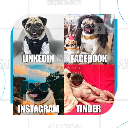posts, legendas e frases de petshop para whatsapp, instagram e facebook: #DollyPartonChallenge
Seu doguinho também está participando do novo meme da internet?

#ahazoupet #challenge #Pets #dollypartonchallenge #dog
