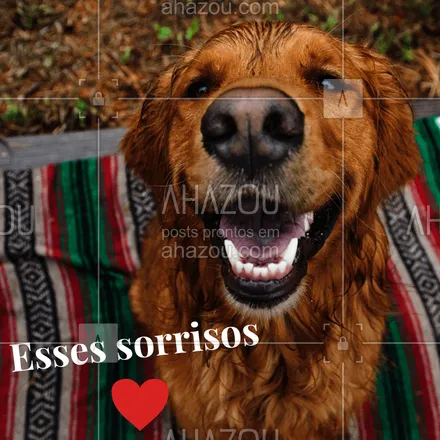 posts, legendas e frases de assuntos variados de Pets para whatsapp, instagram e facebook: Quem mais aí fica feliz com esse tipo de sorriso todos os dias? ?? #pet #ahazou #cachorro #sorriso #amor