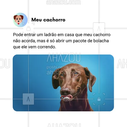 posts, legendas e frases de dog walker & petsitter, veterinário, petshop, assuntos variados de Pets para whatsapp, instagram e facebook: Meu cachorro é especialista em manter a calma durante situações críticas… desde que não envolva um pacote de bolacha! 🍪🐾 Se ele não acorda com um ladrão, é só abrir um pacote de bolacha que ele aparece em alta velocidade! 😂🚀

#AhazouPet #CachorroViciadoEmBolacha #ProteçãoGourmet #PetComPrioridades #FielAoPetisco #BolachaÉVida