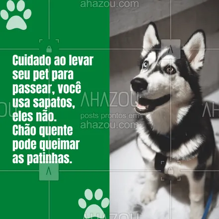 posts, legendas e frases de veterinário para whatsapp, instagram e facebook: Primeiro ponto, não coloque sapatinhos nos seus pets no verão, isso aumentará a temperatura deles. Caso for passear com seus bichinhos, leve-os em horários em que o chão já está frio, evitando assim que haja queimaduras nas patinhas. #ahznoel #cuidados #pets #verão #dicas #petlovers #AhazouPet #AhazouPet