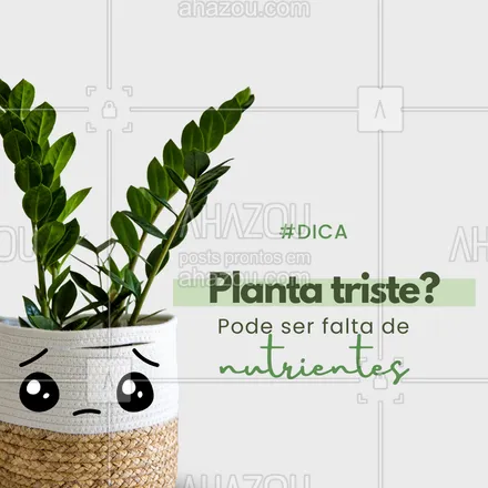 posts, legendas e frases de assuntos gerais de serviços para casa, arquitetura, design & decoração para whatsapp, instagram e facebook: As plantas também precisam se alimentar!
🌱 Use adubo orgânico ou fertilizantes próprios para cada espécie.
Mas atenção: excesso de adubo também faz mal. Siga a dose certa!
#cuidadoscomplantas #plantanutrida #adubação #plantasinteriores #vidacomverde #dicasdejardinagem
