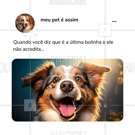 posts, legendas e frases de petshop para whatsapp, instagram e facebook: Todo dono de pet conhece o famoso 'só mais uma vez' 😂 E o nosso amigo de quatro patas sempre acha que tem mais! Quem aí já passou por essa situação? #PetsDivertidos #AmorDeCachorro #AhazouPet #meme #humor #comportamentodospets 