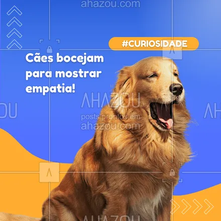 posts, legendas e frases de petshop para whatsapp, instagram e facebook: 🐶 Quando seu cão boceja ao mesmo tempo que você, pode ser uma forma de demonstrar empatia e conexão! Esse comportamento é um reflexo da parceria entre vocês. 😴💞
#CuriosidadesSobreCães #EmpatiaAnimal #ComportamentoPet #AhazouPet #petshop 