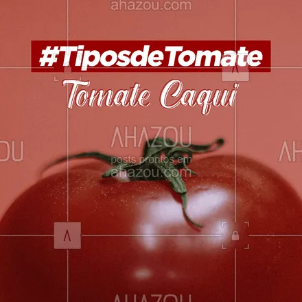 posts, legendas e frases de hortifruti para whatsapp, instagram e facebook: Esse é o tomate ideal para afzer aquele vinagrete! Apesar de não ser muito adocicado, tem uma boa acidez e é fresco. Só não é uma boa opção para molhos!
#tomate #tomatecaqui #ahazoutaste #alimentacaosaudavel  #hortifruti  #mercearia  #organic  #qualidade  #vidasaudavel 