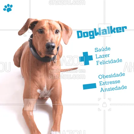 posts, legendas e frases de dog walker & petsitter para whatsapp, instagram e facebook: Você sabia que um DogWalker trás muitos benefícios para o seu dog? Confira! #dog #passeio #dogwlker #saude #ahazou #lazer