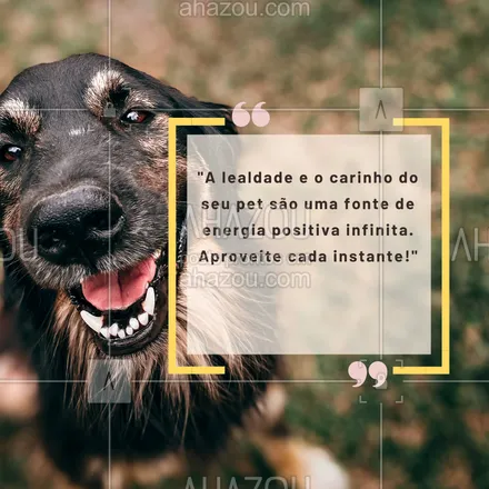 posts, legendas e frases de petshop para whatsapp, instagram e facebook: Com um pet ao lado, a vida ganha uma dose extra de alegria e amor! 🐶💖 Se você tem um pet, sabe do que eu tô falando! #PetLove #VidaComPet #CarinhoSemLimite #AmoMeuPet #AlegriaDeViver #AhazouPet #petshop #frasesdepet #frasesfofas 