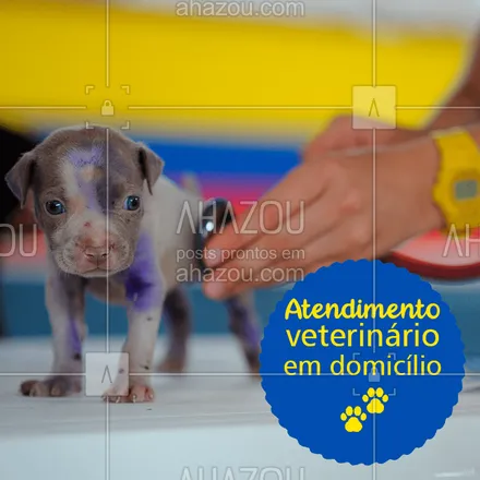 posts, legendas e frases de veterinário para whatsapp, instagram e facebook: Cuide da saúde do seu pet sem sair de casa! Agende consultas, exames e tratamentos no conforto da sua casa. ?? #veterinario #ahazoupet #pet 