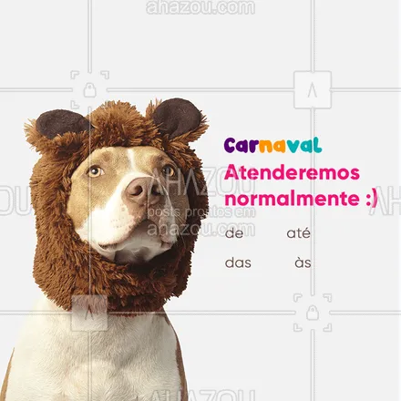 posts, legendas e frases de assuntos variados de Pets para whatsapp, instagram e facebook: Atenderemos normalmente durante o período do Carnaval ? Conte conosco para atender seu pet! #pet #ahazoupet #carnaval #carnavalpet