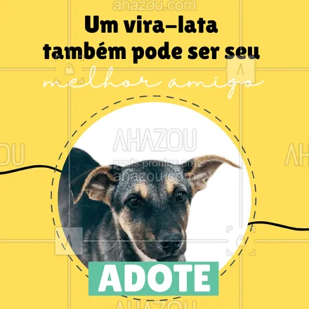 posts, legendas e frases de assuntos variados de Pets para whatsapp, instagram e facebook: Tire um animal das ruas e dê um lar feliz para ele! ?#dogs #AhazouPet #petlovers #adoçao #cachorro #convite #AhazouPet 