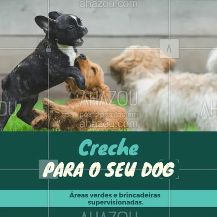 posts, legendas e frases de assuntos variados de Pets para whatsapp, instagram e facebook: Venha conhecer! Você e seu amigão vão amar ❤️️ #crechedog #dog #ahazouapp #pet
