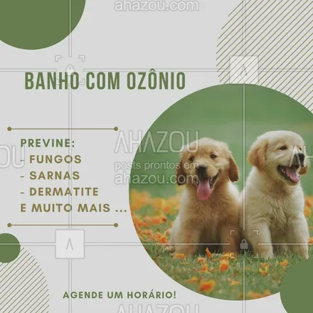 posts, legendas e frases de veterinário, petshop para whatsapp, instagram e facebook: Deixe seu cãozinho relaxado e livre de coceiras com o banho de ozônio. Entre em contato e marque um horário #banhodeozônio  #AhazouPet #banho #ozonio #pet #cuidados