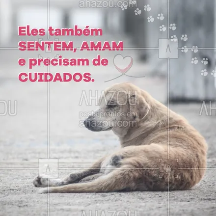 posts, legendas e frases de assuntos variados de Pets para whatsapp, instagram e facebook: Abandonar é um ato de crueldade, adotar é um ato de salvação. Salve um pet, adote um animal de rua! 🐶
#animalderua #diadoanimalderua #AhazouPet #dogs  #cats  #dogsofinstagram  #ilovepets  #petlovers  #petoftheday  #petsofinstagram 