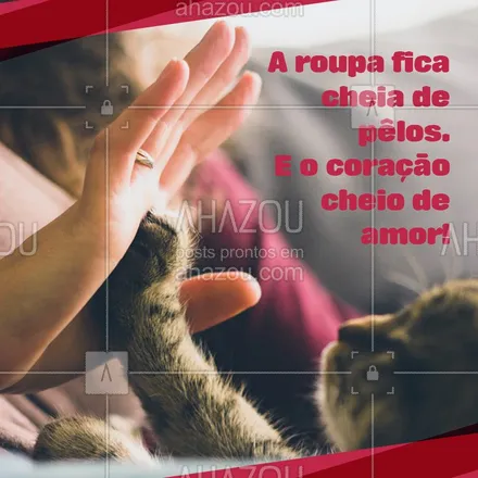 posts, legendas e frases de assuntos variados de Pets para whatsapp, instagram e facebook: Vale a pena, né? ❤️ #gato #ahazou #pets